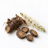 Black Cohosh
